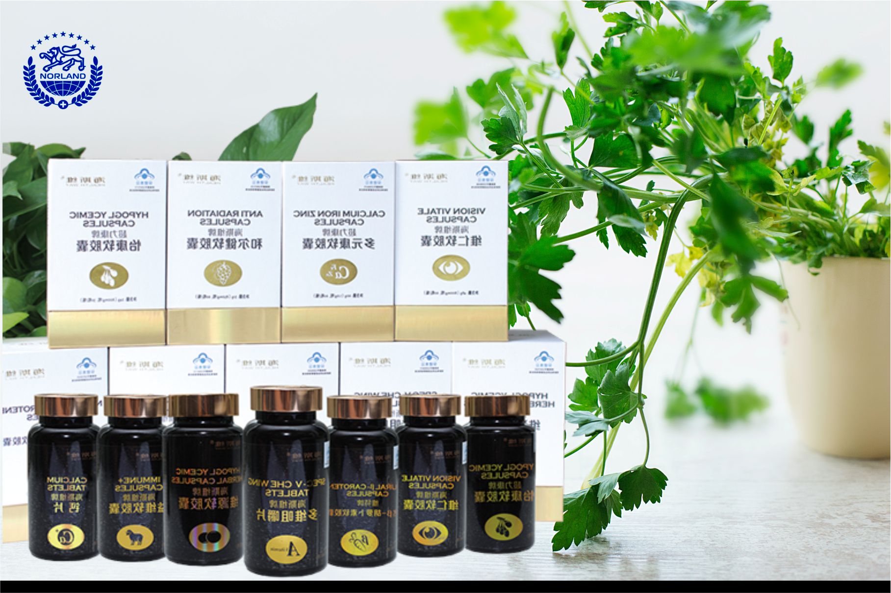 Norland products for your overall health, Gaborone