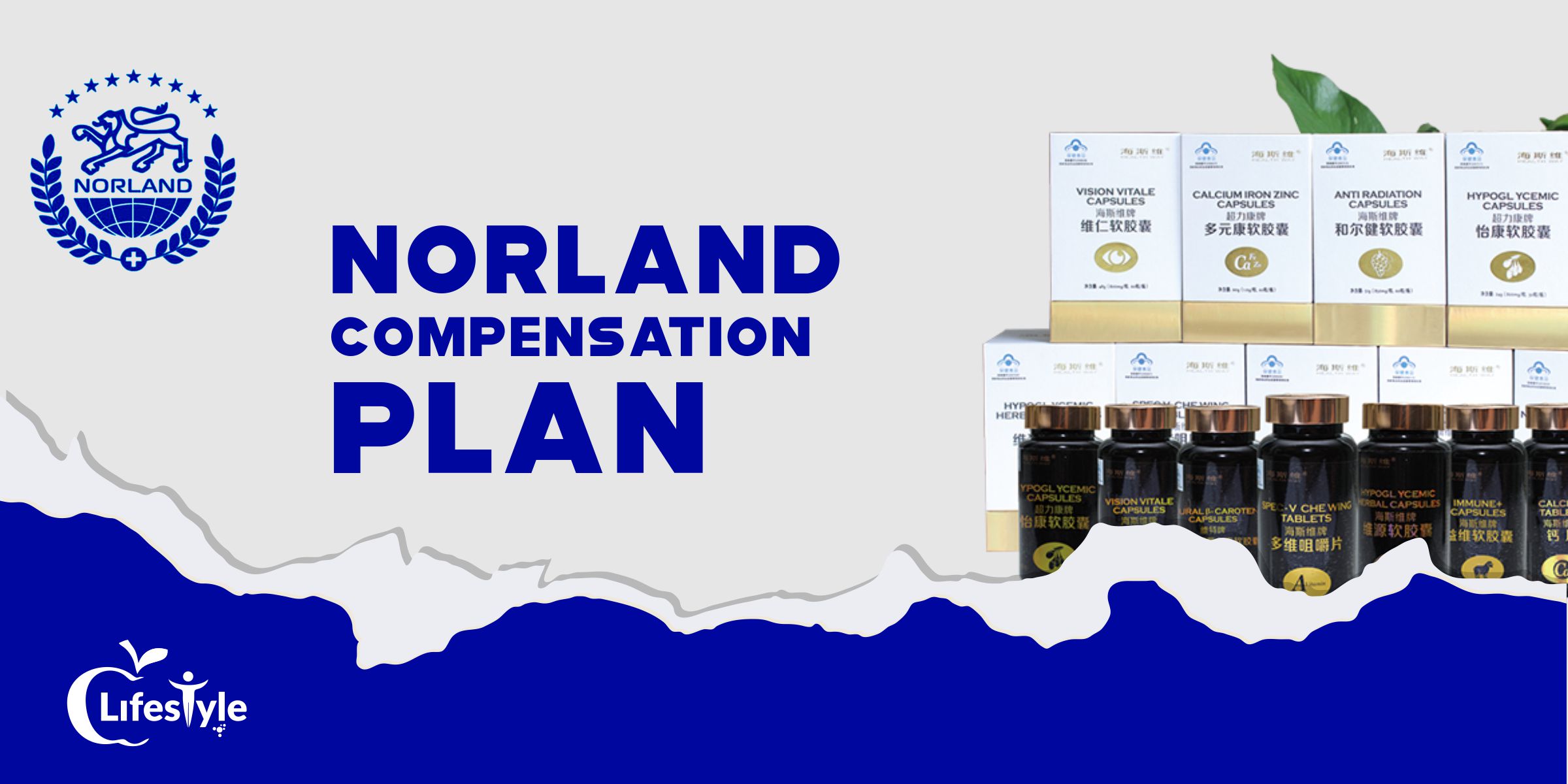 Introduction Classy Lifestyle