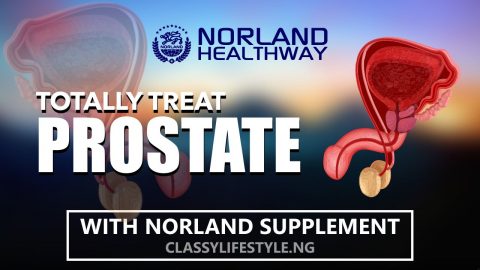 Totally Get Free Of Prostate - using Norland Natural Supplements
