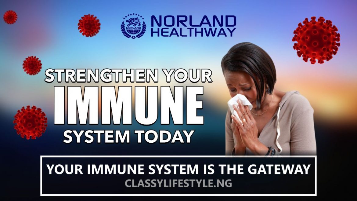 PREPARE NOW!!! IT'S FLUE SEASON STRENGTHEN YOUR IMMUNE SYSTEM TODAY
